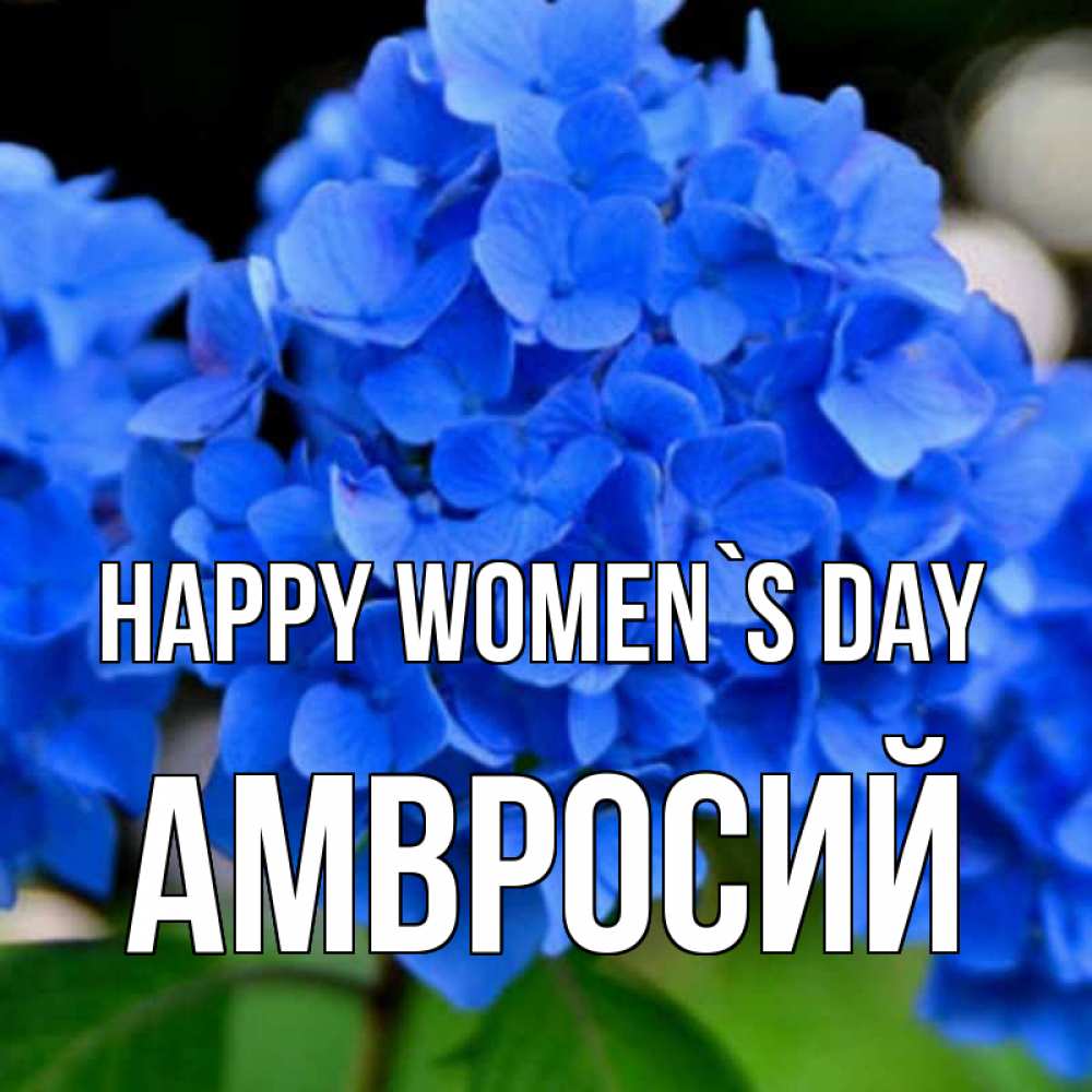 Greetings card с именем, Амвросий happy women`s day синие цветы Greetings with text for free download 